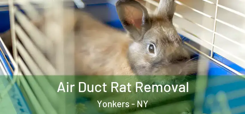  Air Duct Rat Removal Yonkers - NY