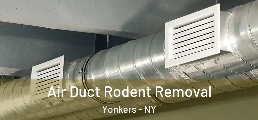 Air Duct Rodent Removal Yonkers - NY