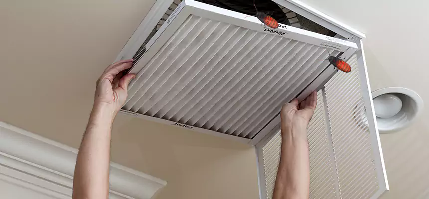Preventive Cockroach-Proofing for Ducts in Yonkers