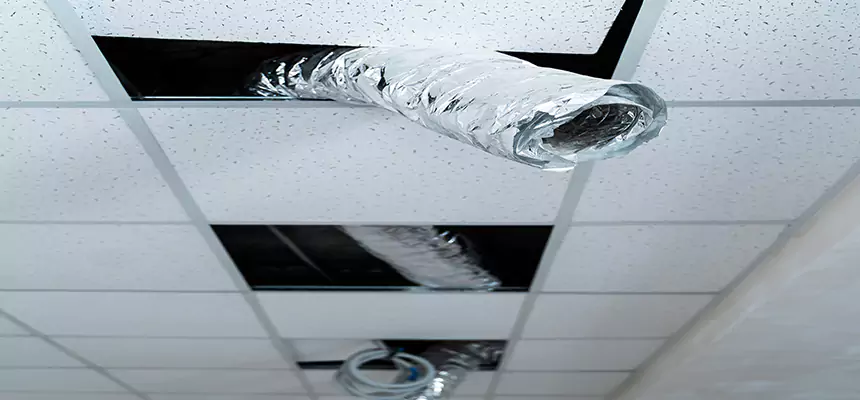 Affordable HVAC Sanitizing After Pest Removal in Yonkers