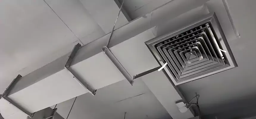 Our Pest Removal From Ducts Services in Yonkers, NY