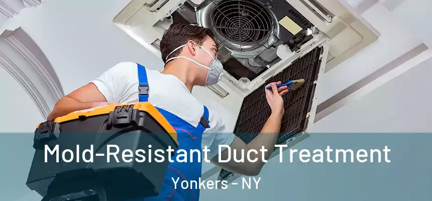  Mold-Resistant Duct Treatment Yonkers - NY