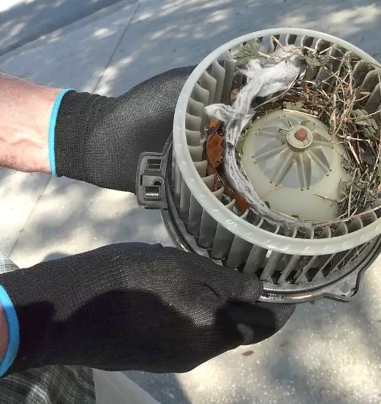 About Air Duct Rat Removal in Yonkers, NY