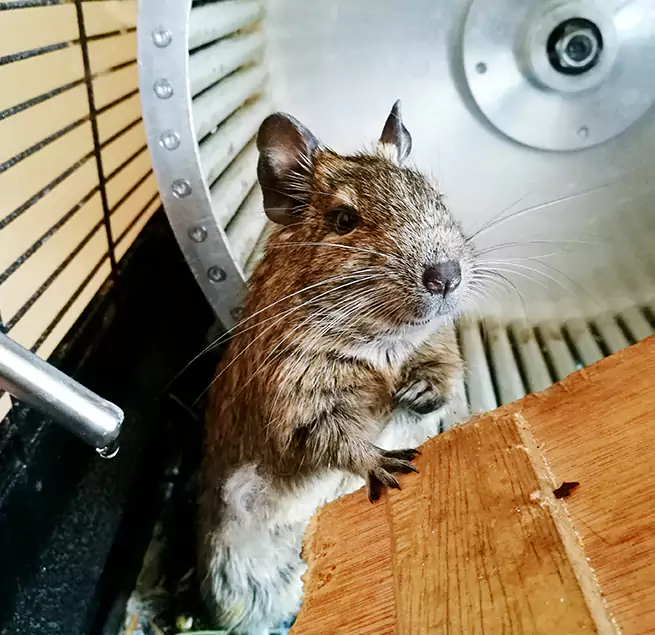 Why Homeowners & Businesses Trust Us Yonkers, NY